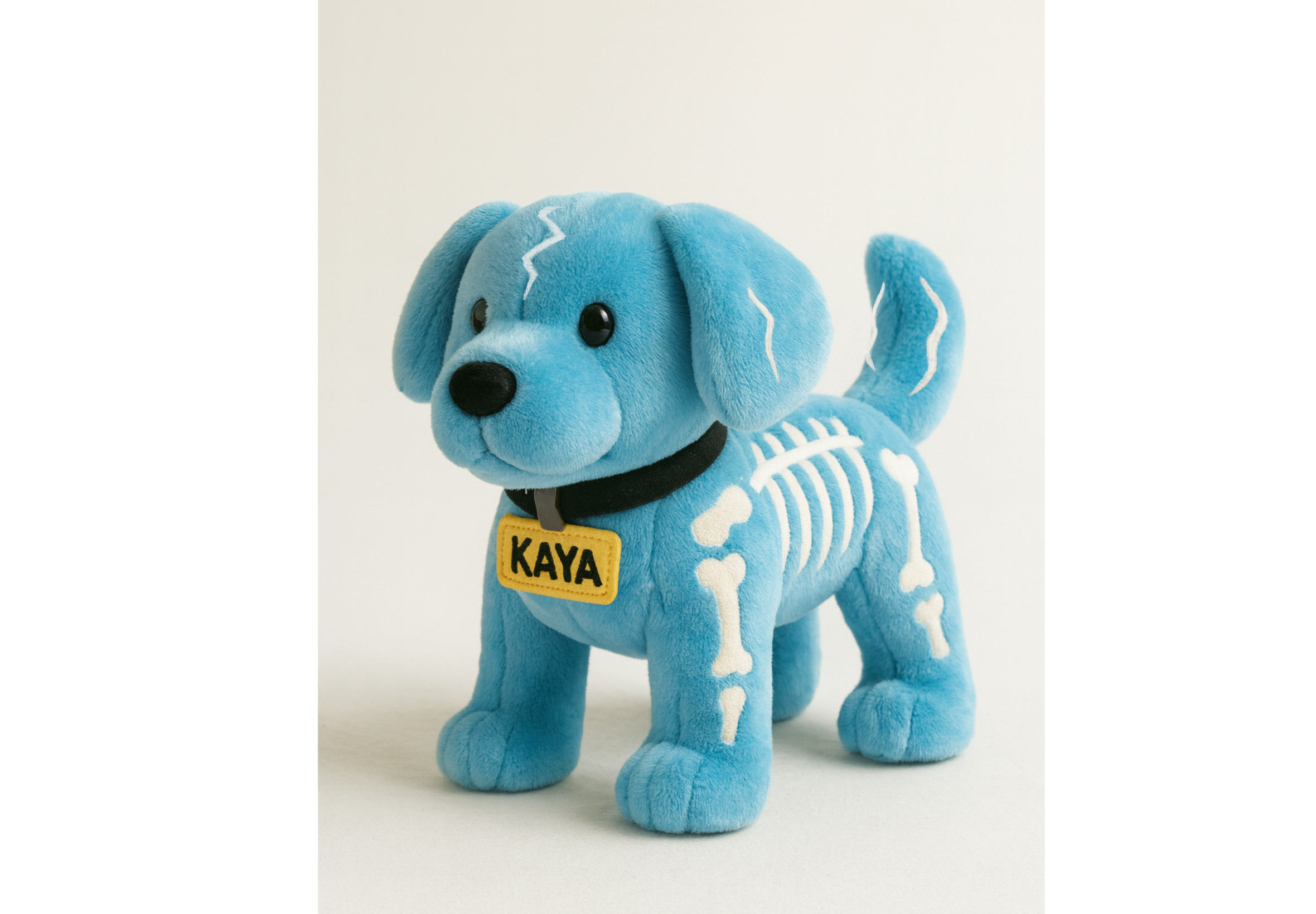 Justice For Kaya